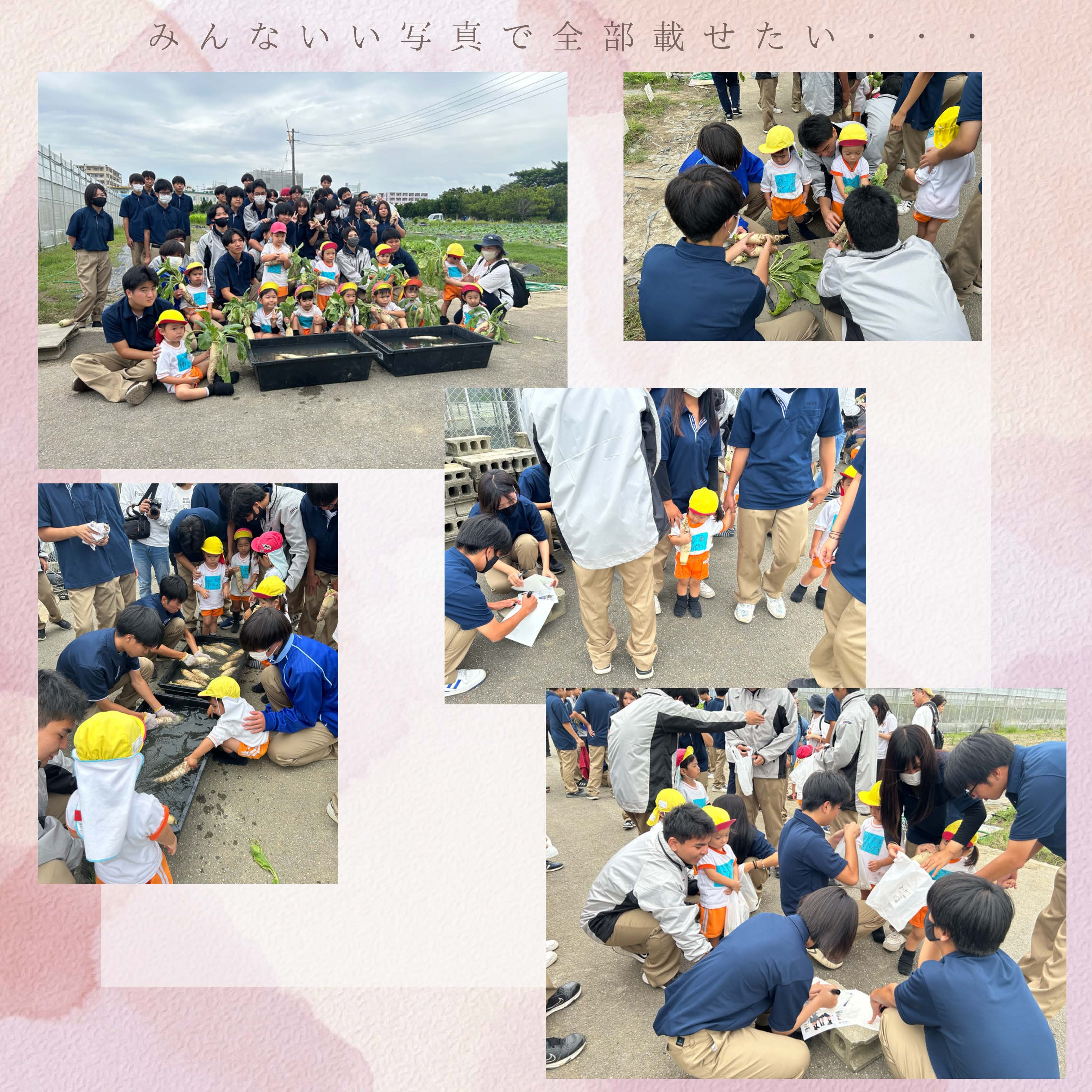 http://www.nanbu-ah.open.ed.jp/d64af1f75baf695076cf5f995fc38a8bbfe7d6f2.jpg