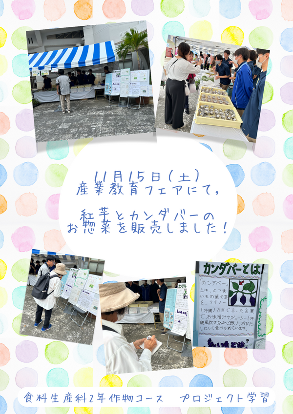 1 1.pngのサムネイル画像